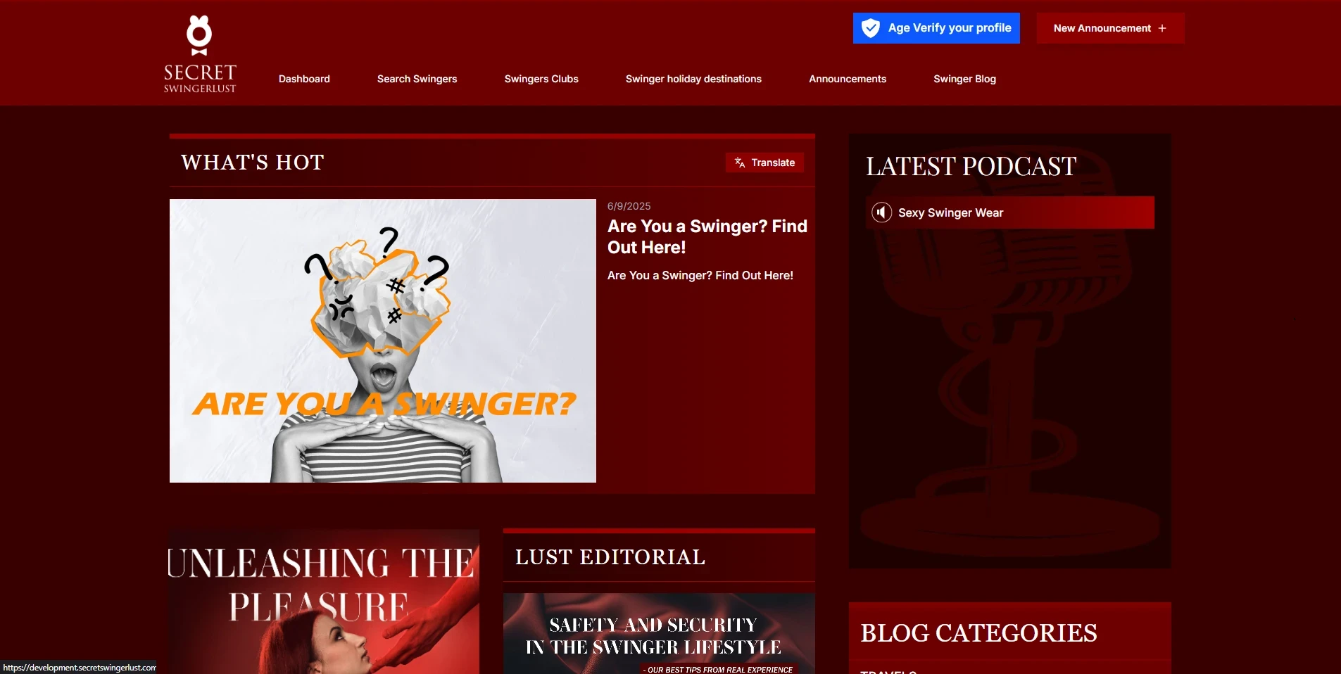 Blog And Podcast